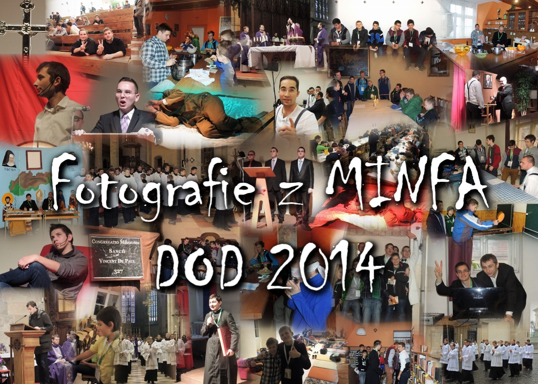 DOD MINFA 2014